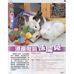 3 週刊（134期〉 多多龍 - 兔兔訪問