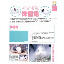 Lisa 月刊（271期〉 多多龍 - 兔兔訪問