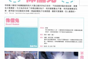 Lisa 月刊（271期〉 多多龍 - 兔兔訪問